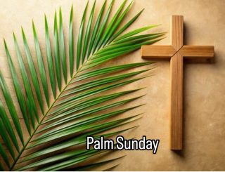 🌿 Happy Palm Sunday 🌿

As we enter Holy Week, let us reflect on the triumph and humility of Jesus’ journey to Jerusalem. Just as the crowd laid down palm branches to honor Him, let us lay down our hearts in worship and gratitude. ✝️

May this day remind us of the peace and love that Jesus brought into the world, and may we carry that spirit with us through this week and beyond. 🌿

#PalmSunday #HolyWeek #Faith #Jesus #Blessed #Hosanna #Peace #Hope #adoptafamilyla