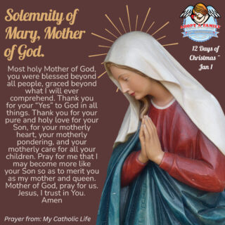 Loving Mary, Mother of God thank you for saying "yes" to God. Especially in this Christmas Season we thank you for giving us your holy Son, Jesus. Mother of God, pray for us! Keep all families we've helped in the past 35 years close to your heart. ⁠
⁠
#12DaysofChristmas #ChristmasWithAAF #HappyNewYear #SolemnityofMary #Day8
